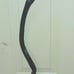 Japanese Maple Epoxy walking cane