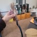 Japanese Maple Epoxy walking cane