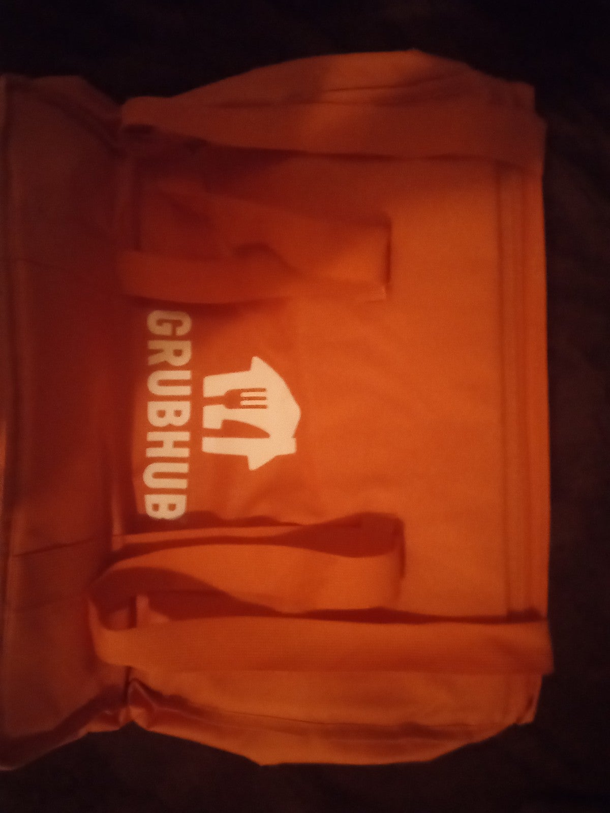 Grubhub insulated Xtra large biker bag