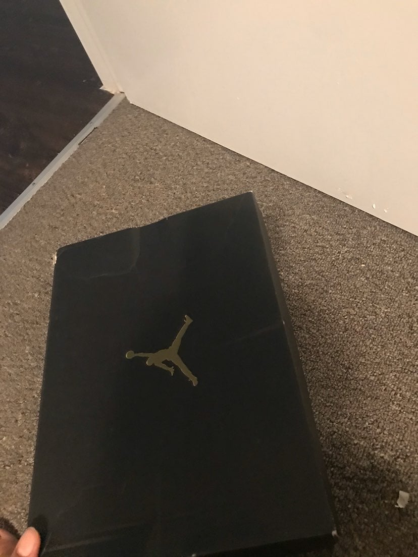 Jordan retro 12