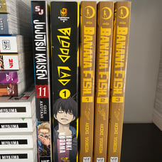 Manga lot