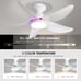 Ceiling Fans with Lights Remote/APP Control, 38 Low Profile Ceiling Fans with D