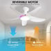 Ceiling Fans with Lights Remote/APP Control, 38 Low Profile Ceiling Fans with D