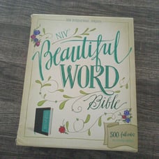 Zondervan Bibles NIV Beautiful Word Illustrated Bible - Brown, Teal. With box.