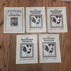 The Feathered Warrior