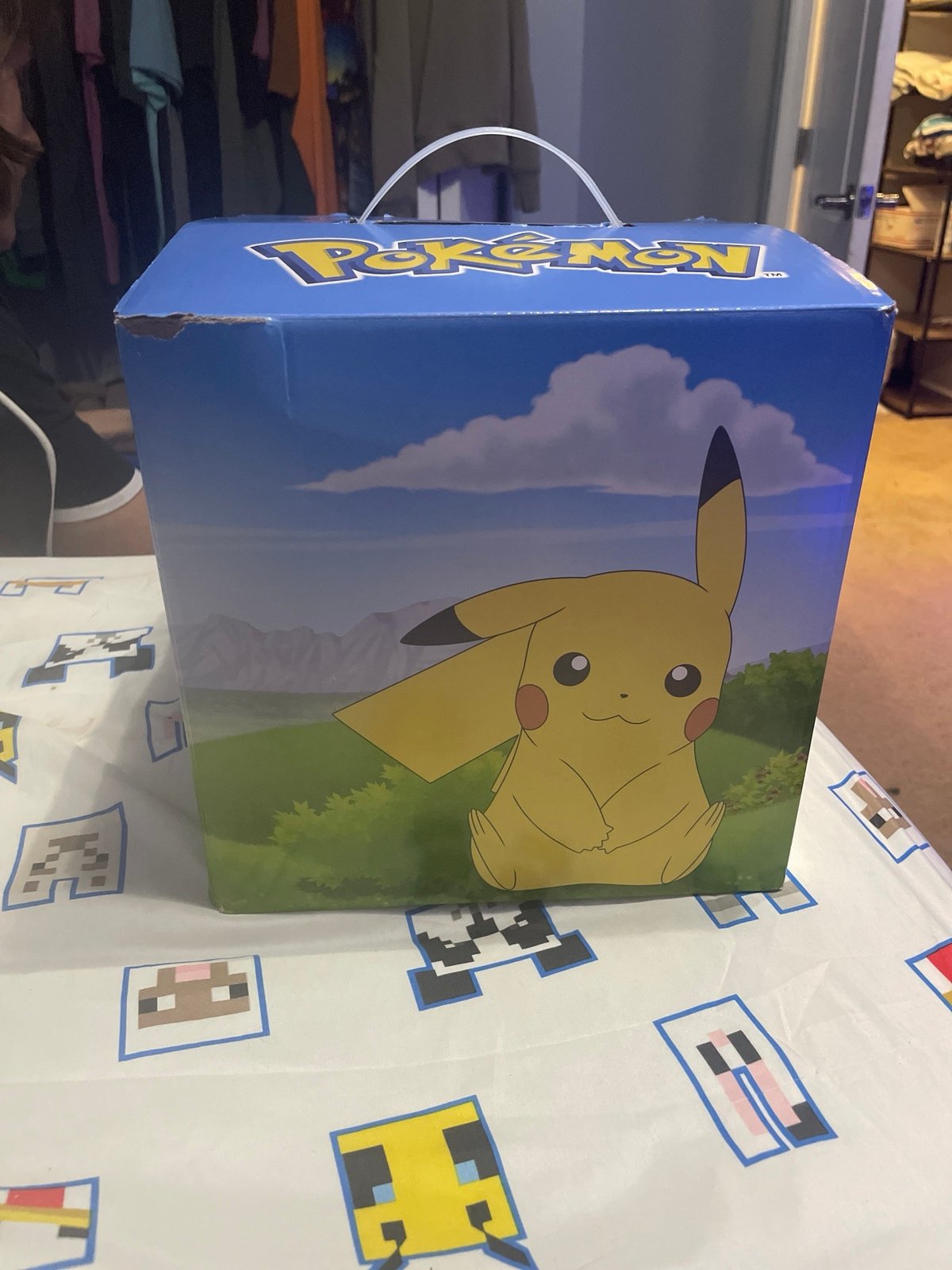 Pokemon mystery box