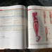 Anatomy and physiology 8th edition Saladin