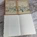 Alice In Wonderland by Lewis Carroll Book Bundle