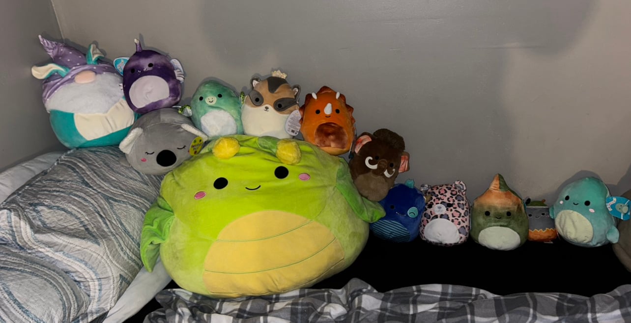 squishmallow bundle