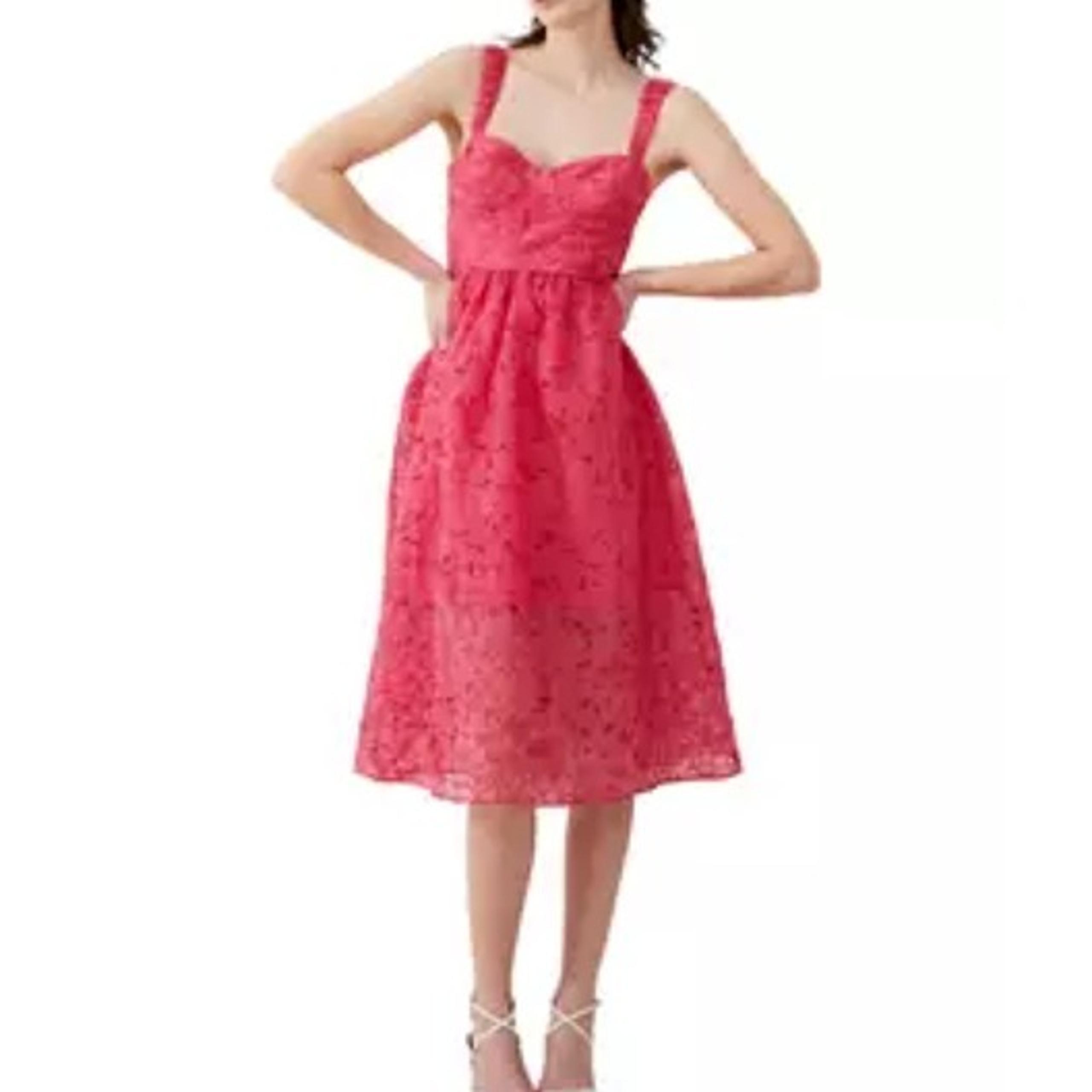 French Connection Women's Embroidered Lace Sleeveless Dress in Azalea Size 8 NWT