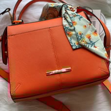 Steve Madden bag