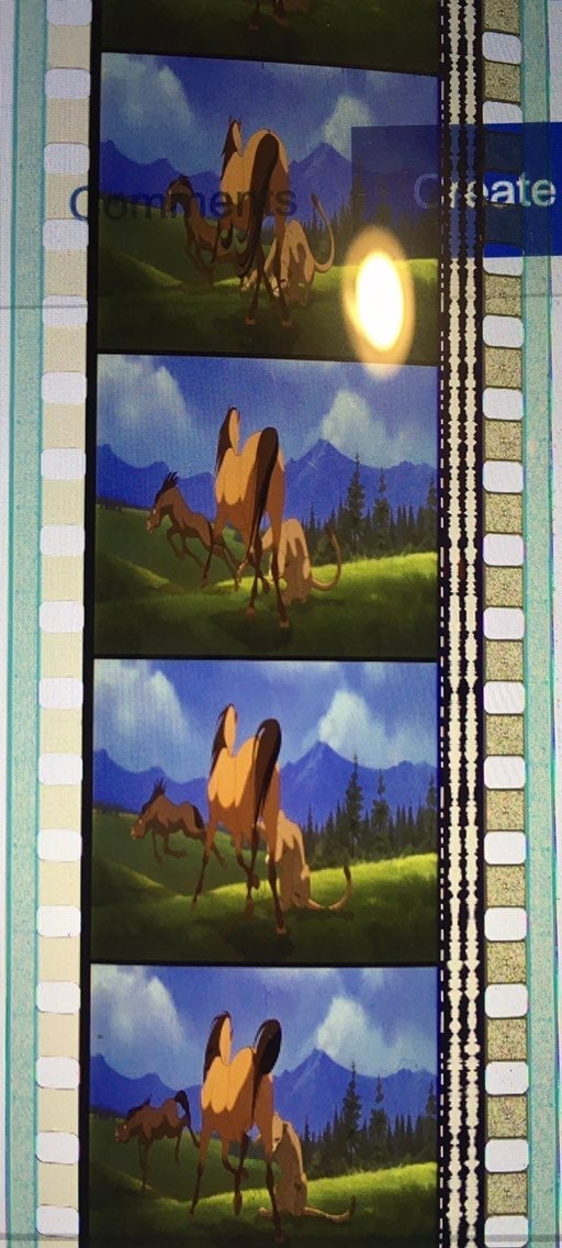 Spirit Stallion of the Cimarron Movie Film Strip