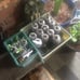 11 Heirloom Seeds for Planting Vegetables and Fruits, 4800 Survival Seed Vault