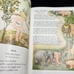 Vintage mid century 1955 the illustrated treasury of children’s literature