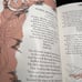 Vintage mid century 1955 the illustrated treasury of children’s literature