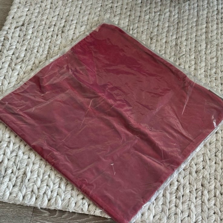 Pottery Barn Everywhere Velvet Pillow With Down Alternative Insert
