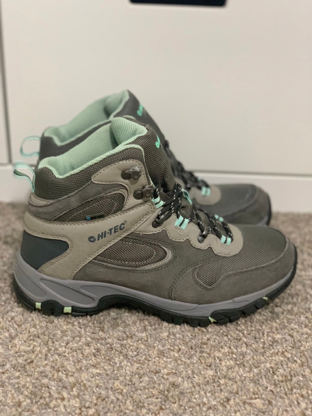 Hiking boots