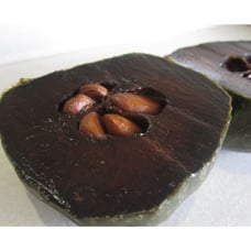 3-4 Feet Tall 'Chocolate' Black Sapote Tree - Creamy Dark Black Fruit Flesh