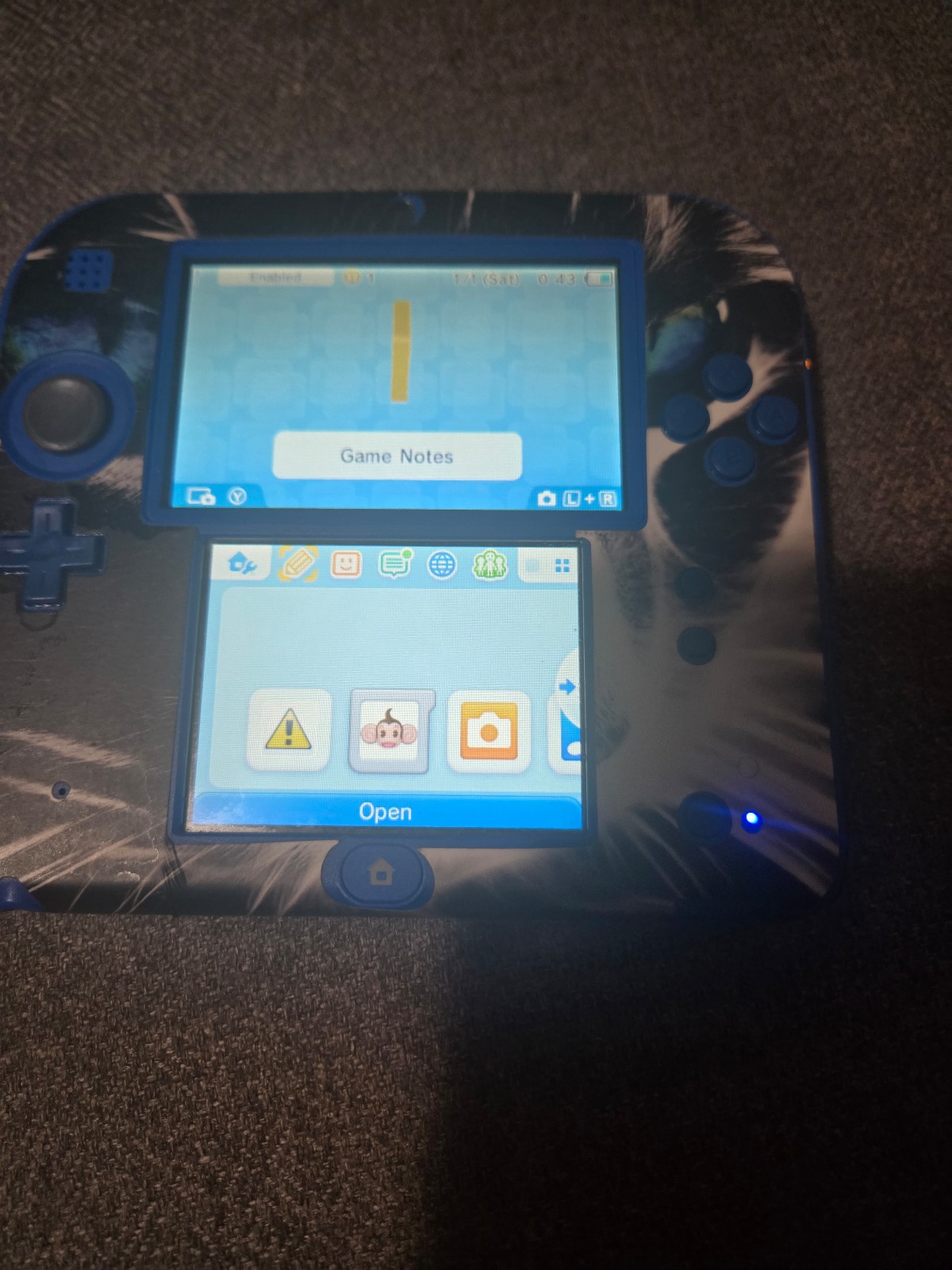 Nintendo 2ds, you can take the cat cover off