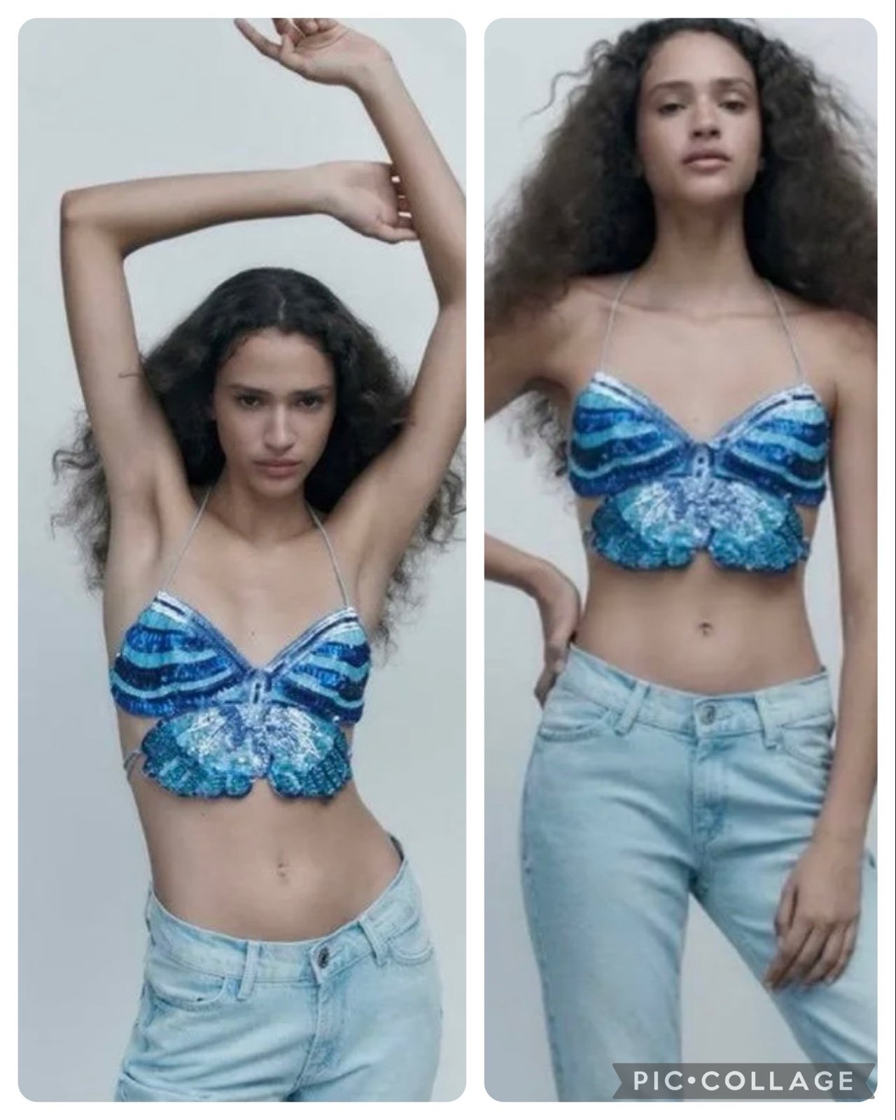 New Zara Butterfly Crop Top
