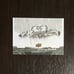 DUSTIN WOLF 2023-24 Upper Deck UD Canvas Young Guns Black & White Rookie RC C109