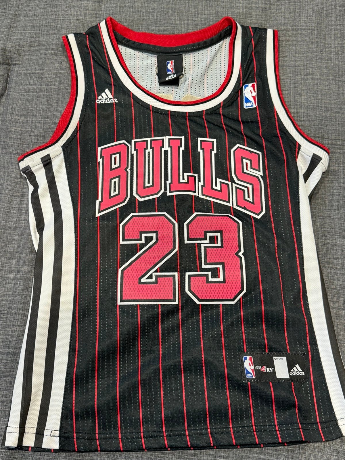 Chicago Bulls Pinstripe Authentic Women’s Vintage