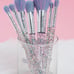 Slmissglam brush set