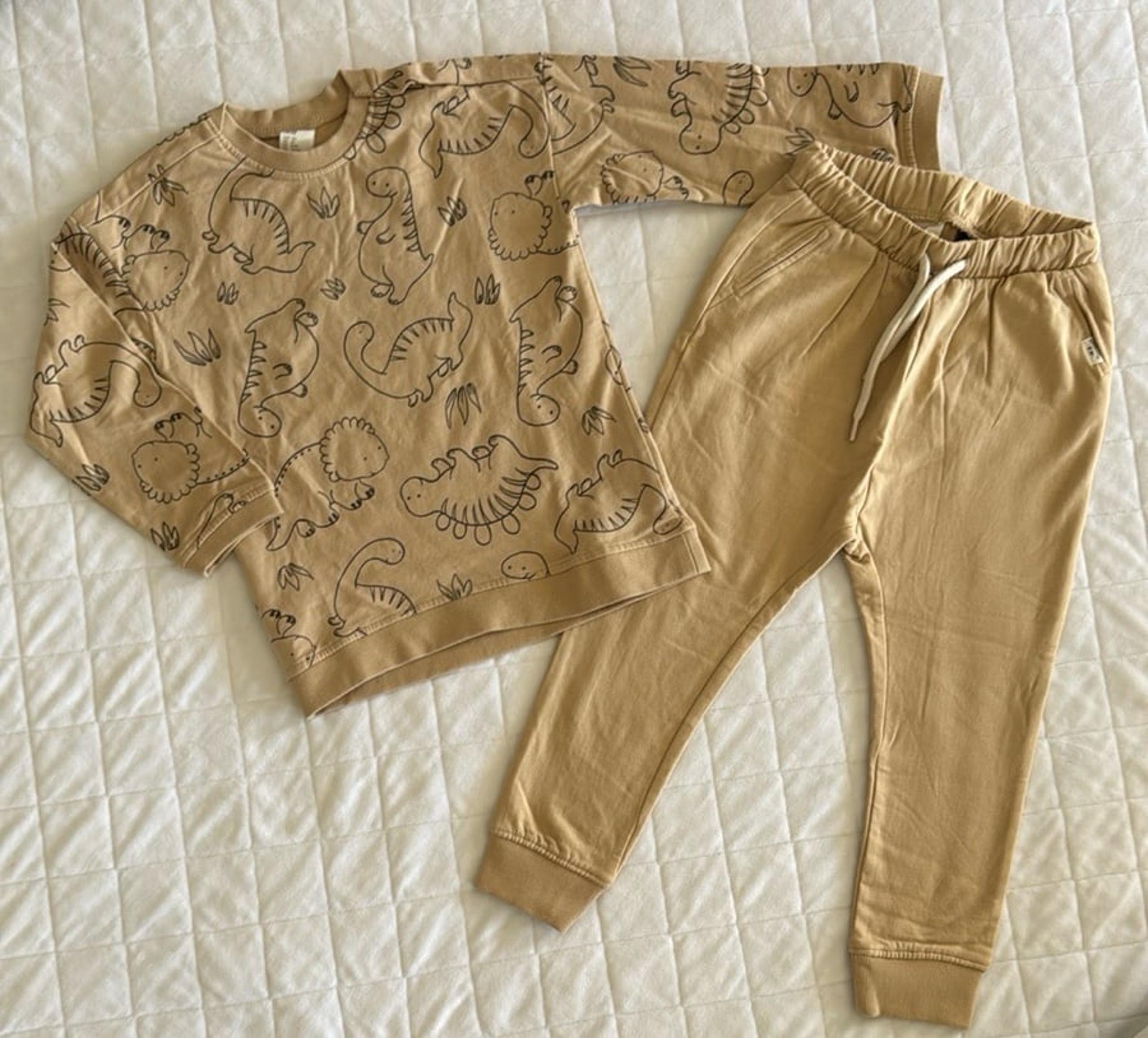 H&M Dinosaur Print toddler Outfit