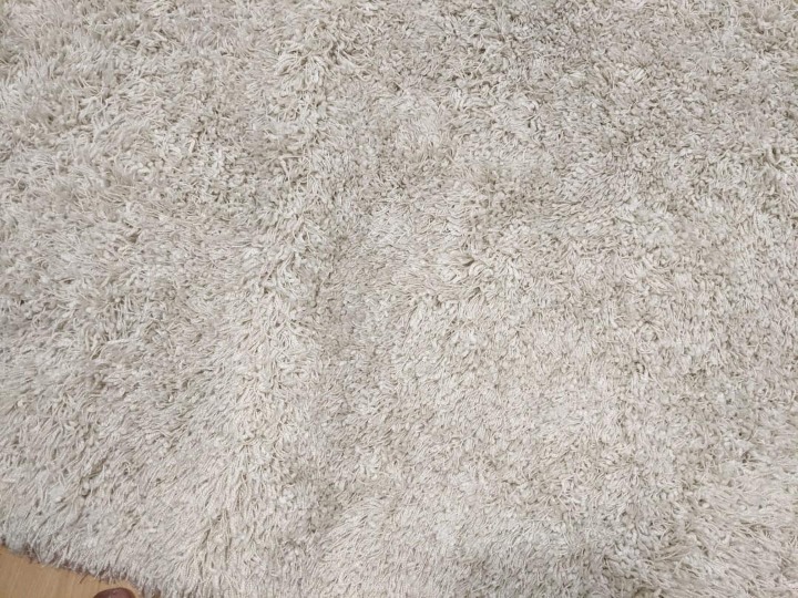 Floor Carpet