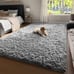 4x6 Rugs for Bedroom, Grey, Fluffy Shaggy Soft Area Rug,