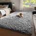 4x6 Rugs for Bedroom, Grey, Fluffy Shaggy Soft Area Rug,