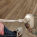 Spoon 2