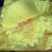 NWT VS bundle