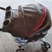 stroller and baby carrier