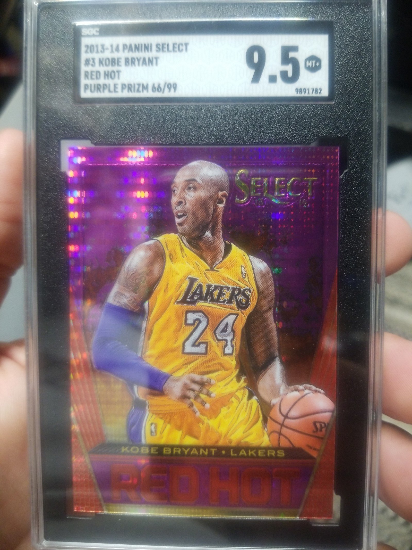 2013 kobe bryant panini select red hot purple prizm 66/99 sgc