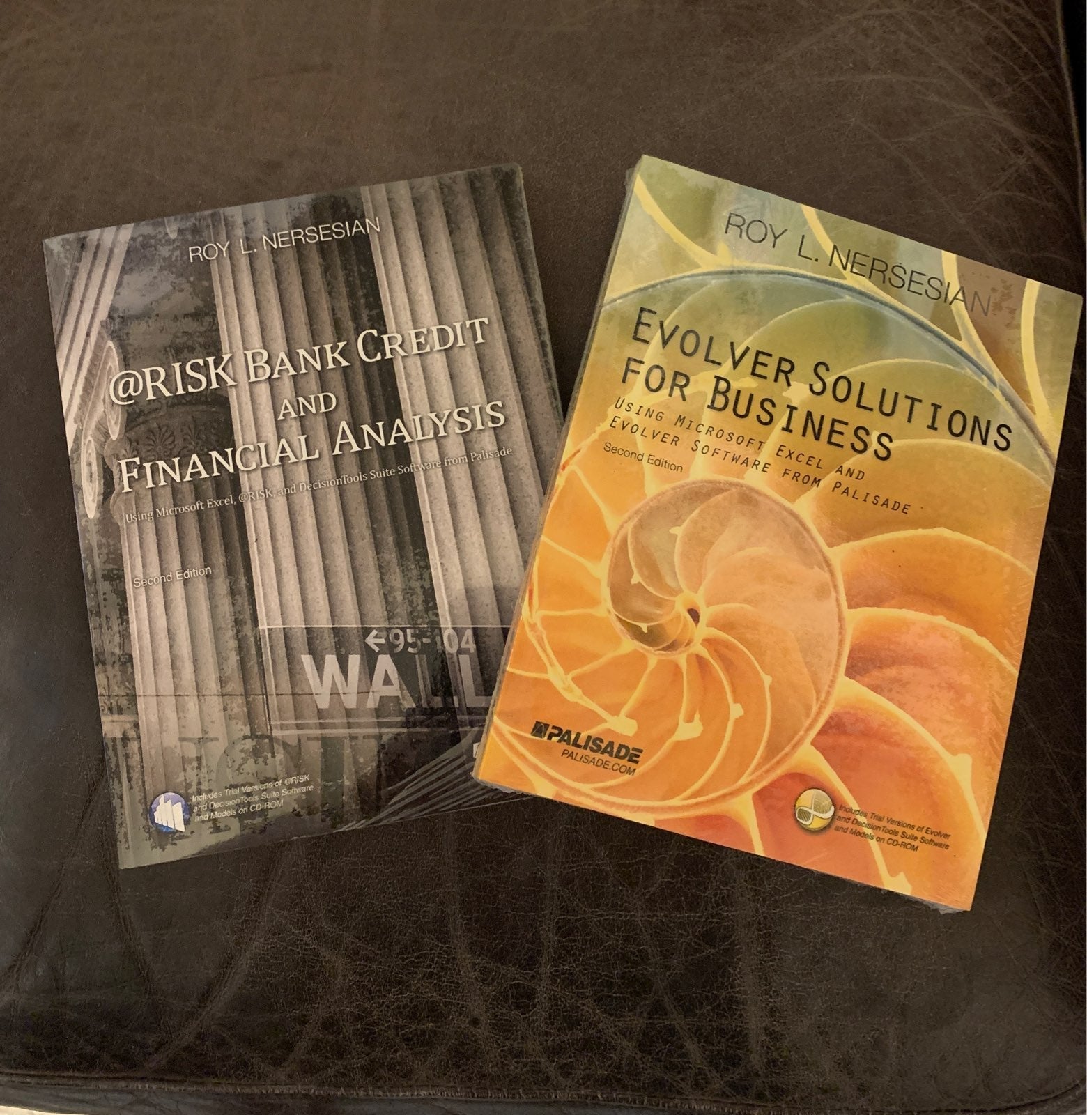 Risk analysis & Evolver solutions bundle