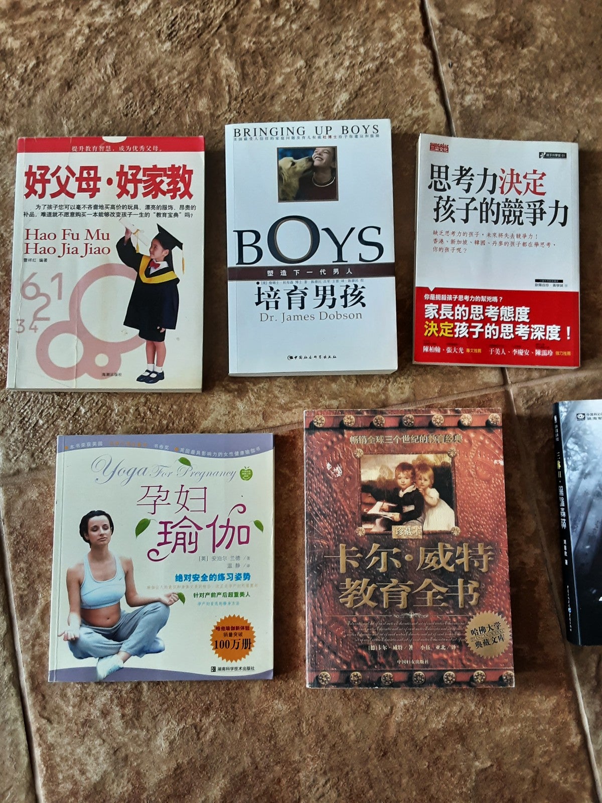 中文版，《三体》第II,III集，《镇魂》上下集，《孕期瑜伽》及儿童培养教育类书籍。