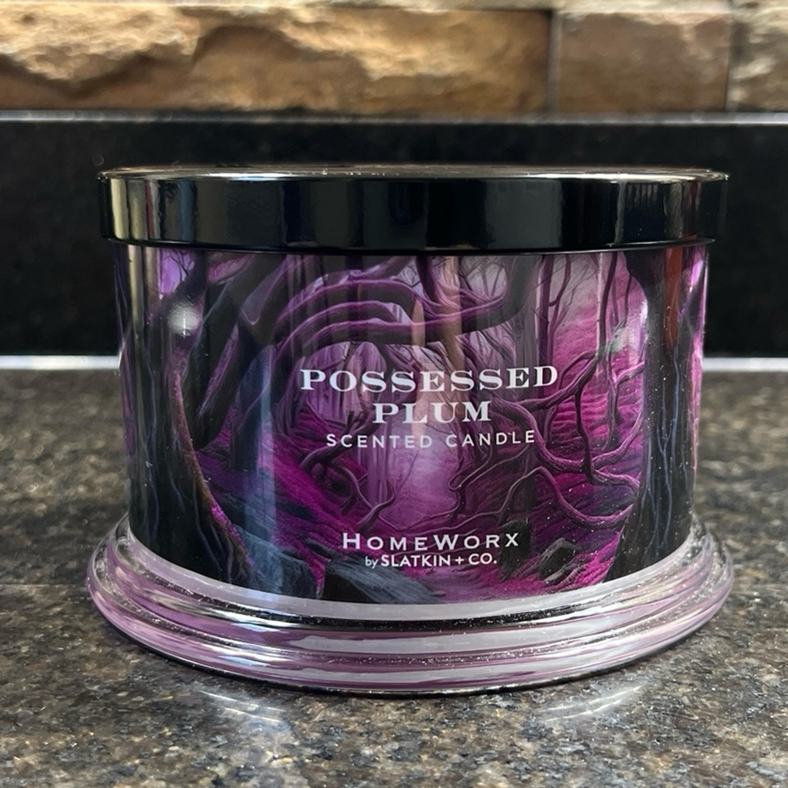 HomeWorx Possessed Plum