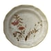6 Mikasa Country Charm Strawflowers FG003 Salad Plates 8