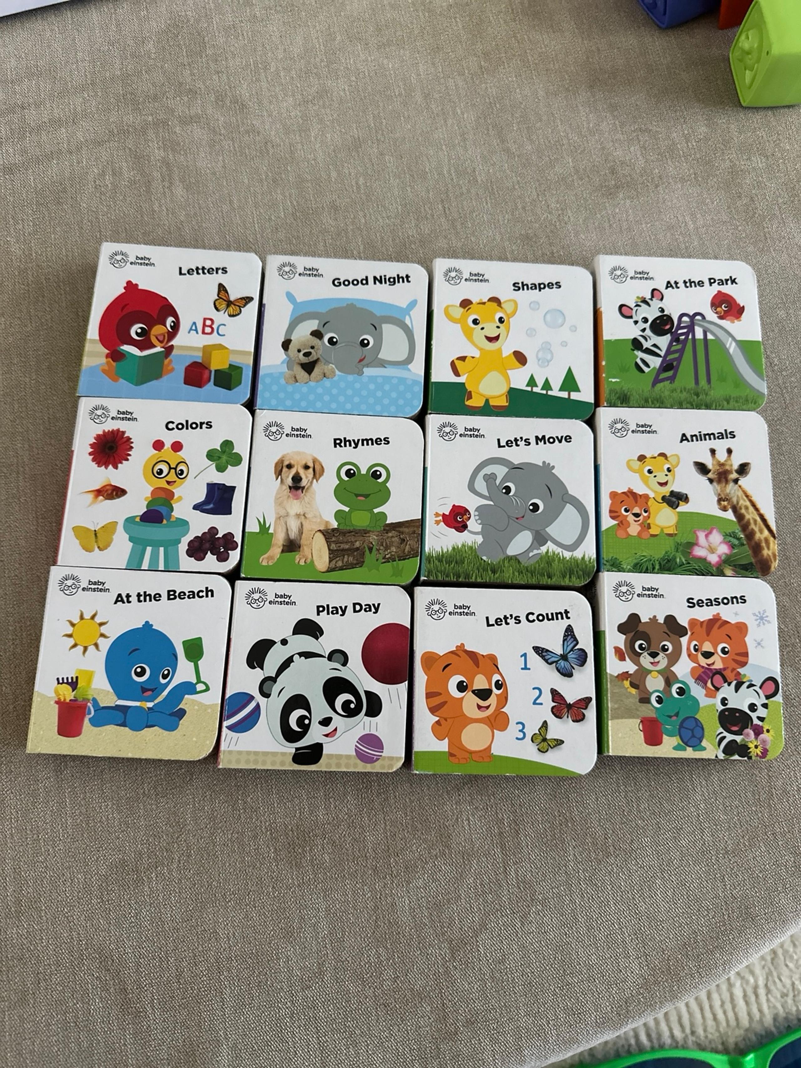 Baby Einstein Mini Books