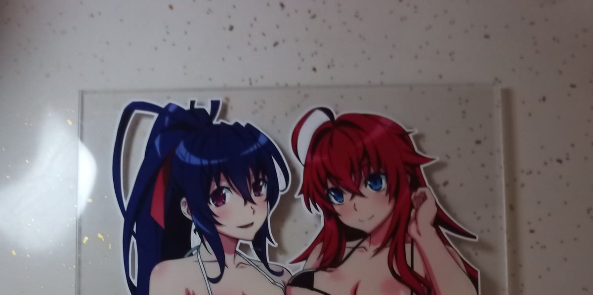 High School Highschool DxD Rias Gremory Akeno anime manga waifu girls COLOR tran