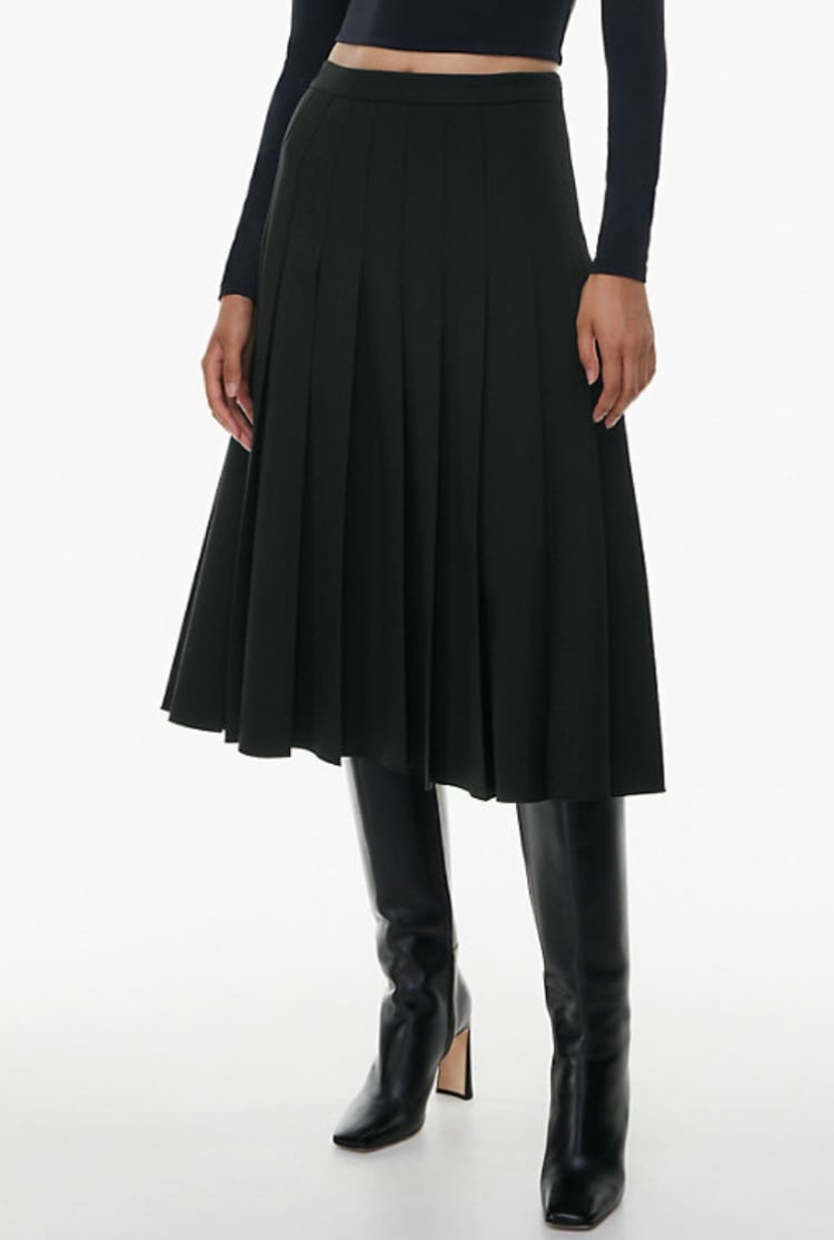 Aritzia Didi pleated skirt