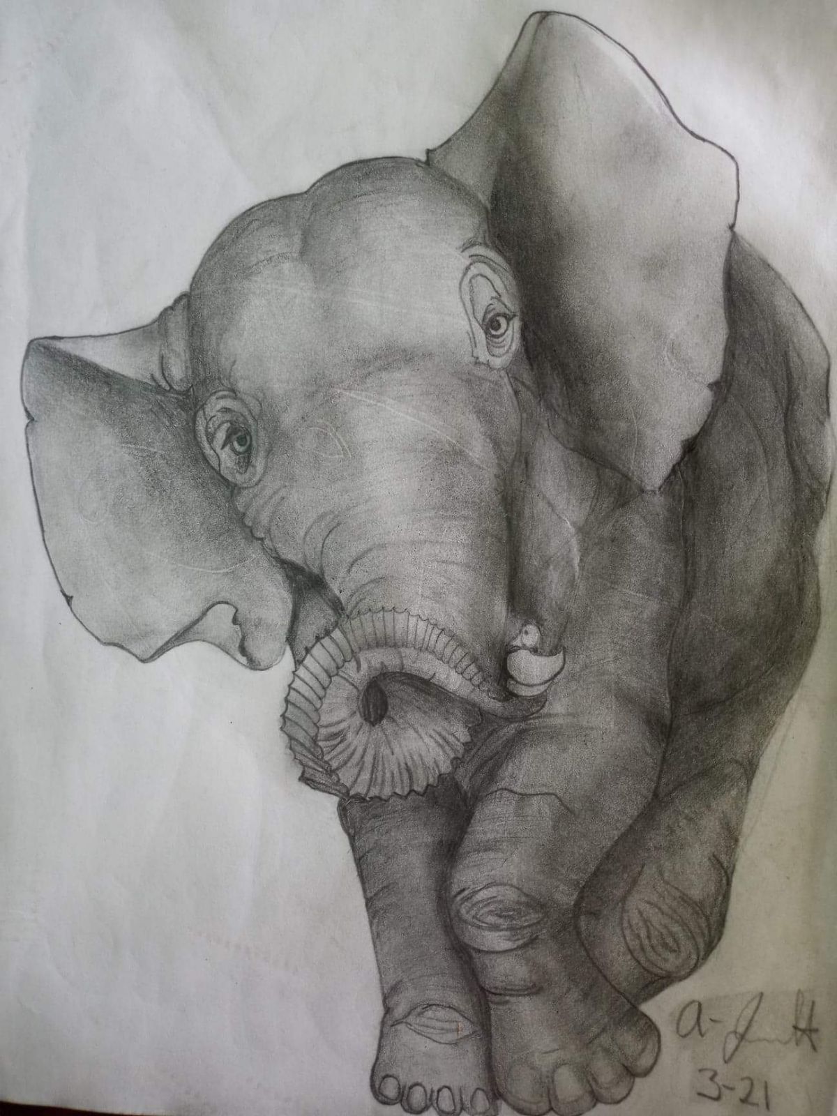 Drawing I did myself