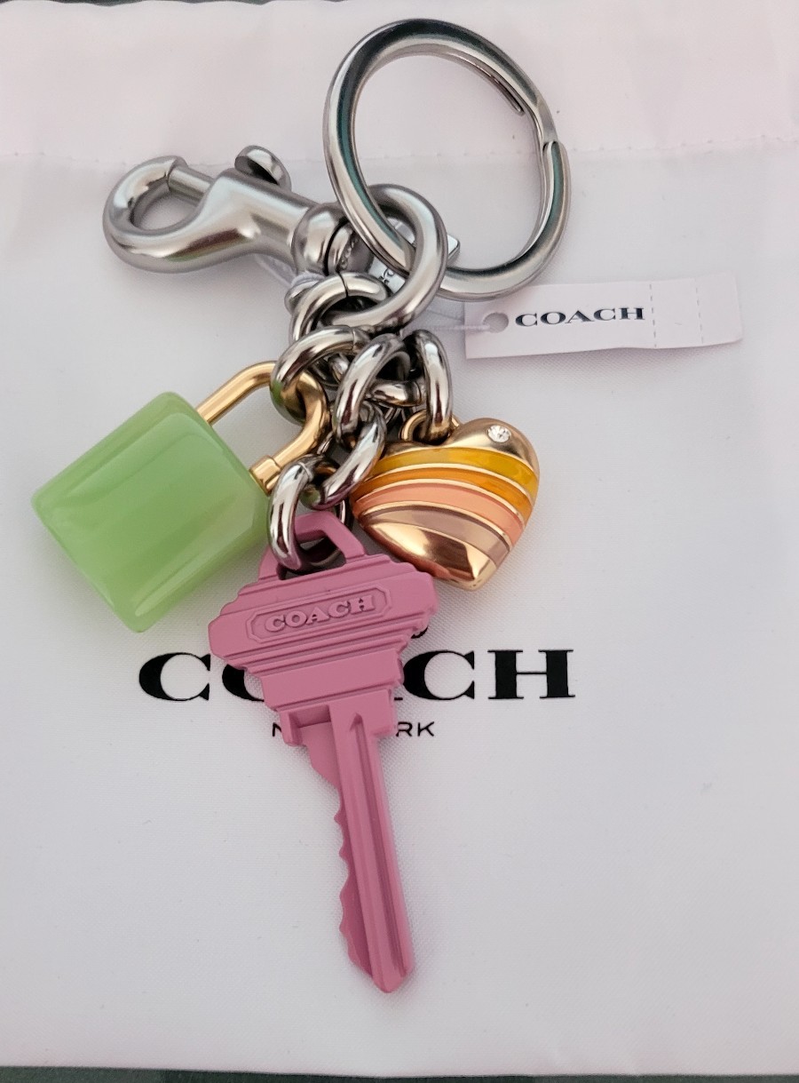 Coach Multi Charm Keychain Keyfob