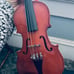 Child Skylark Beginner Violin