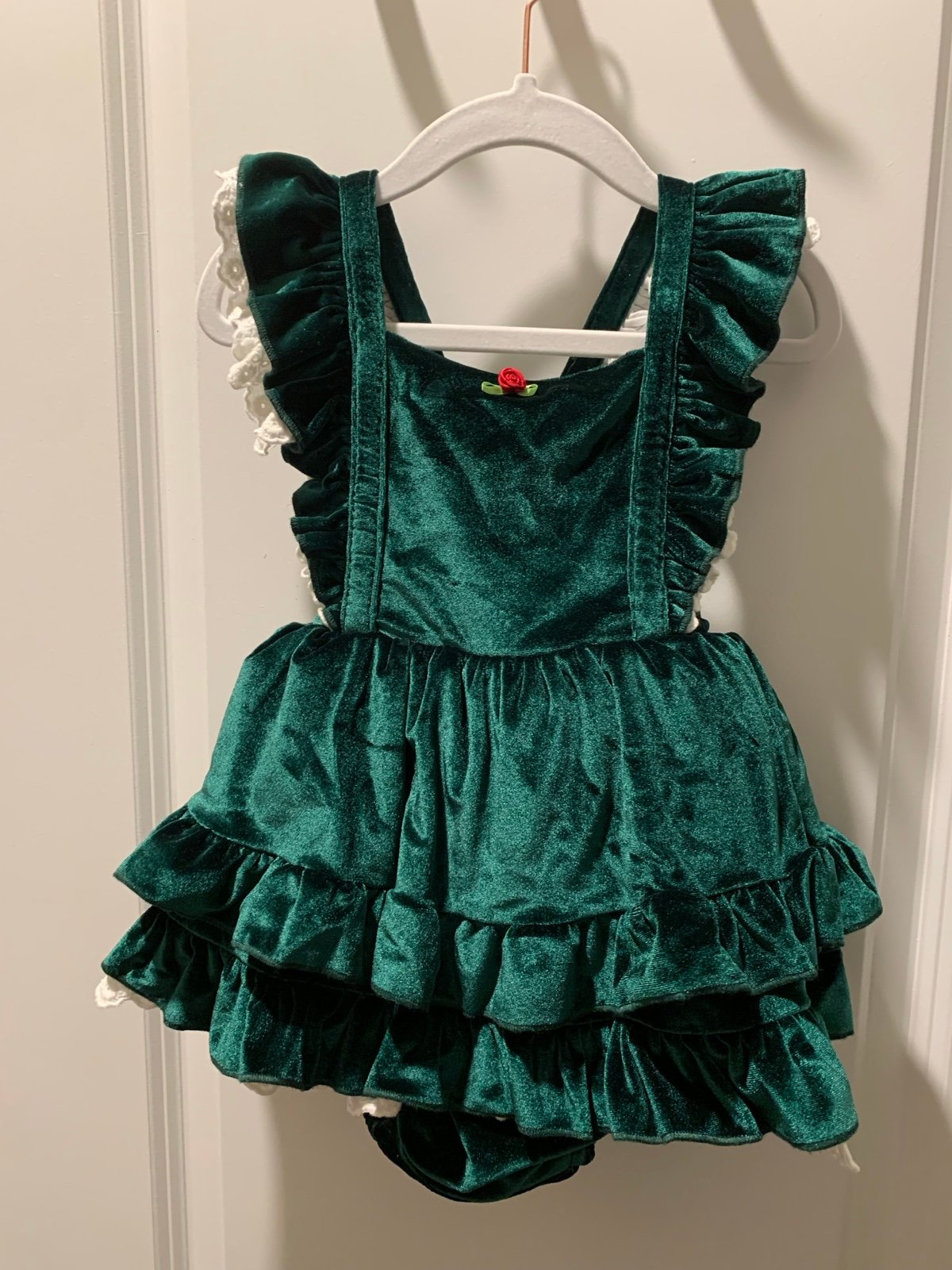 Bums & Roses Velvet Holiday Dress