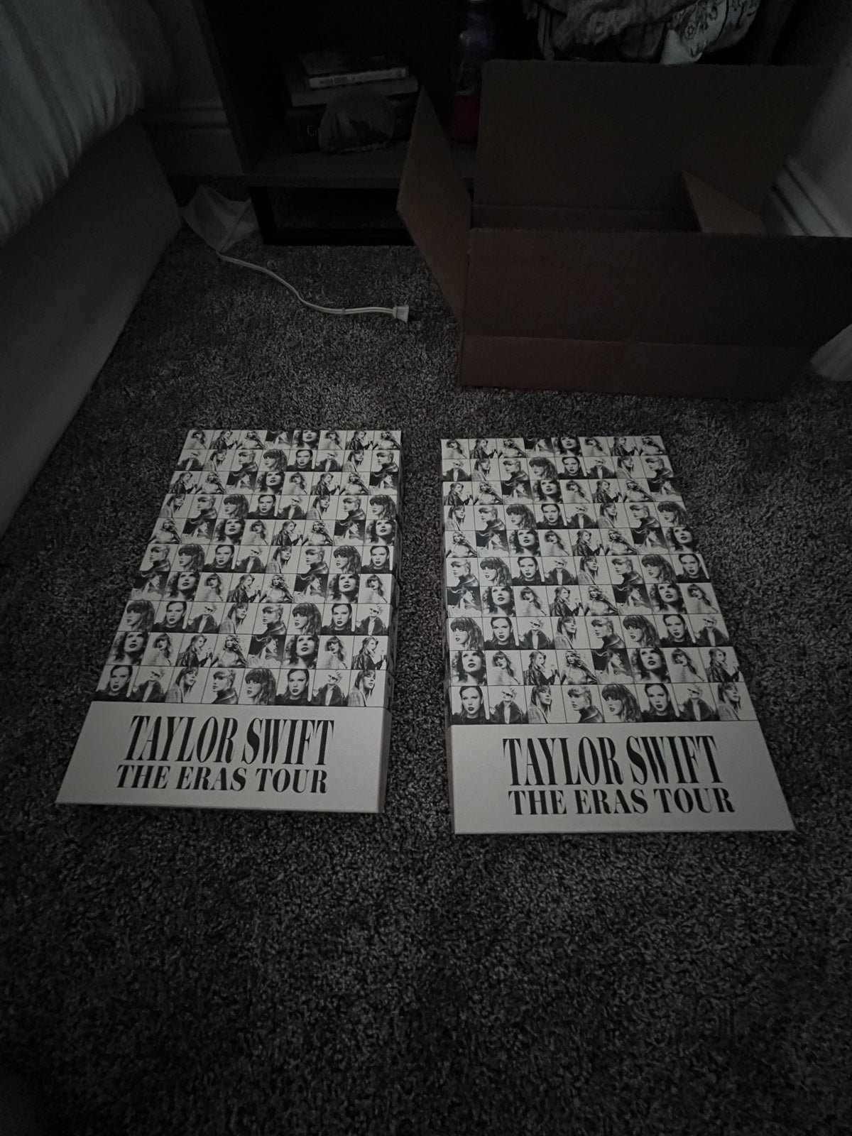 Taylor Swift The Eras Tour VIP Box