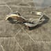 Sterling Silver 925 7” Dolphin Cuff Bracelet Signed Silver Cloud SC