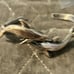 Sterling Silver 925 7” Dolphin Cuff Bracelet Signed Silver Cloud SC