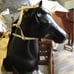 American Girl Doll 2 Retired Horses